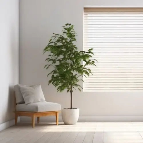 Estore Laminado - 25mm